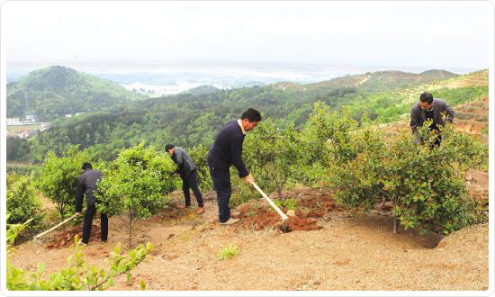 湖南九丰农业发展有限公司（九丰油茶专业合作社）