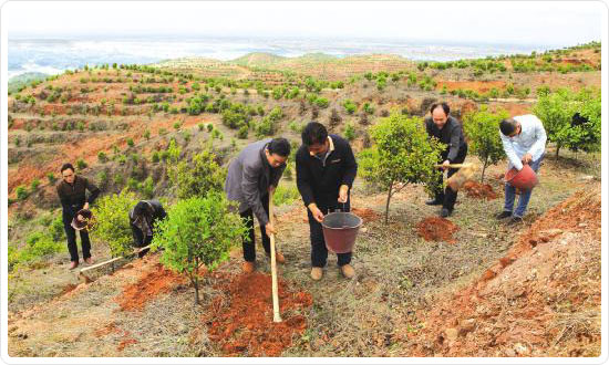 湖南九丰农业发展有限公司（九丰油茶专业合作社）