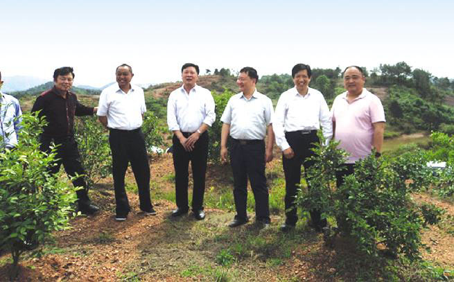 临湘市人大领导来公司茶山九丰农业基地视察