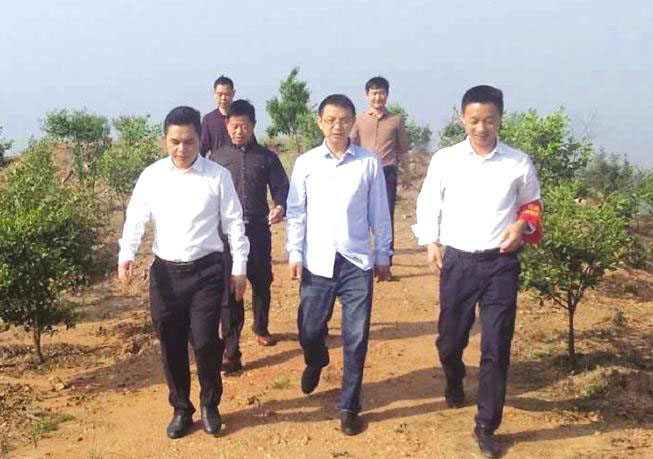 临湘市委副书记余岳雄(左)来湖南九丰农业发展有限公司基地调研