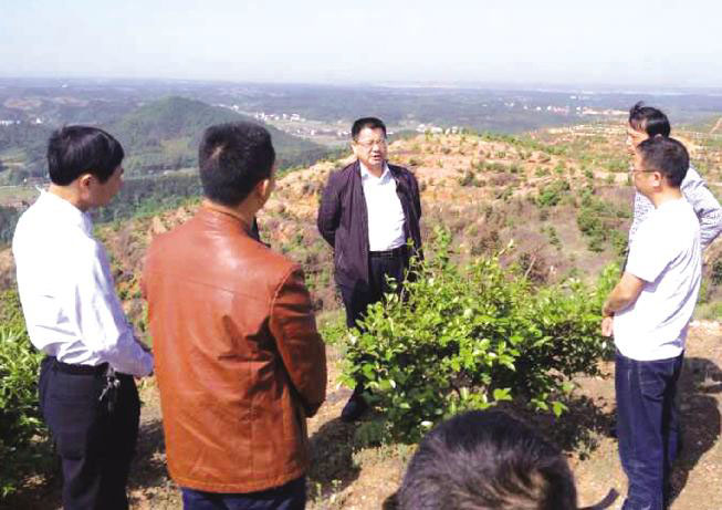 岳阳市政协主席徐新楚(中)视察公司基地