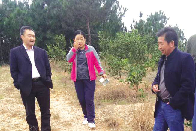 著名油茶专家陈永忠教授(左)来九丰农业公司基地考察