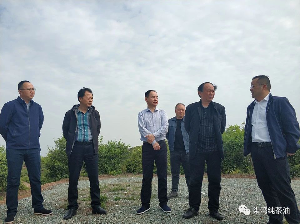 省林业局法规改革处及市区领导来九丰公司调研工作