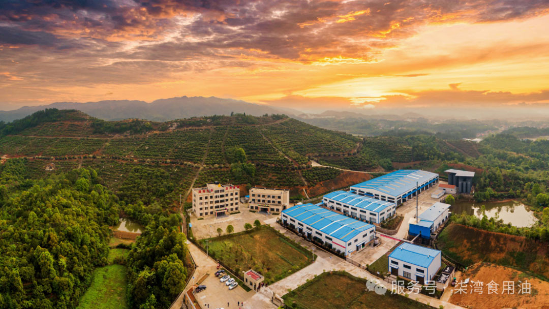 2025，向梦想出发。