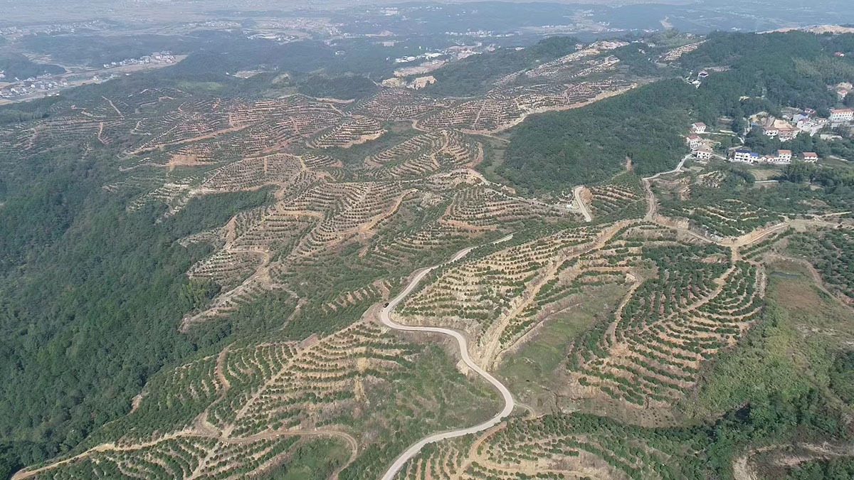 九丰农业刘家湾基地