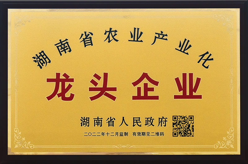 湖南省农业产业化龙头企业