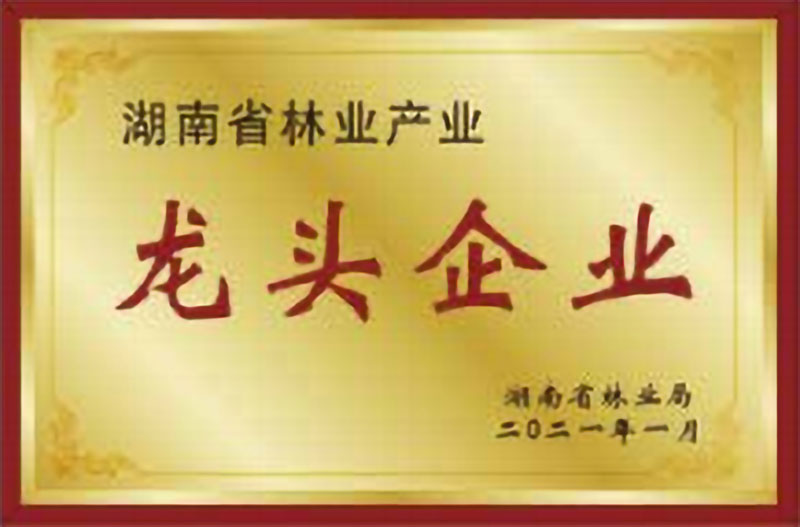 湖南省林业产业龙头企业