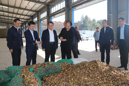 林彰良来我市调研脱贫攻坚工作 谢胜陪同