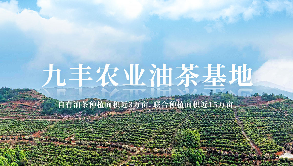 湖南九丰农业发展有限公司