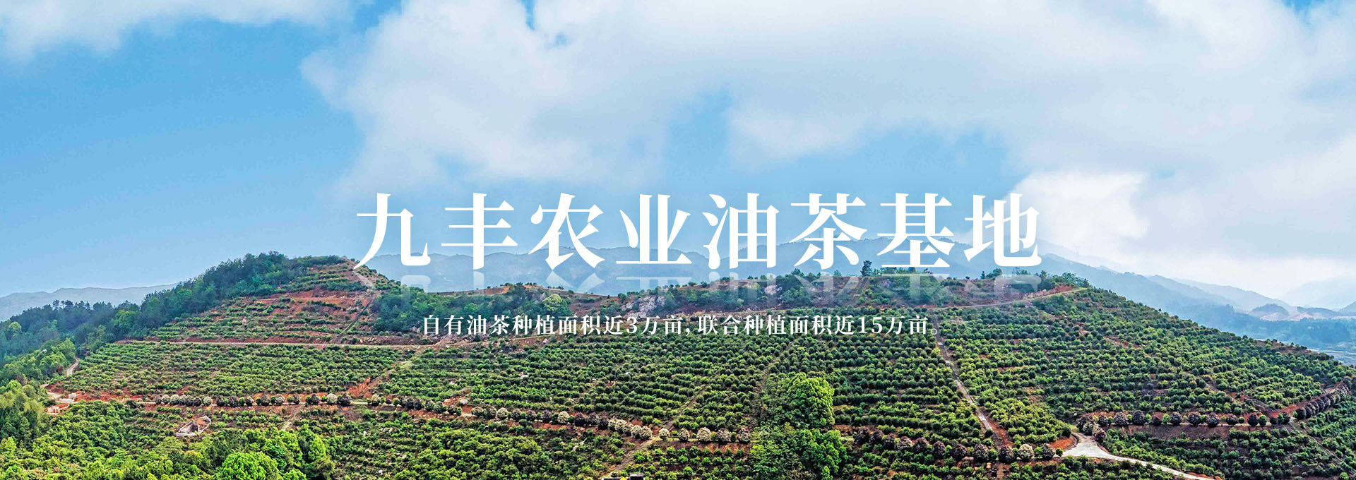 湖南九丰农业发展有限公司